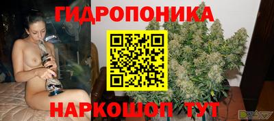 дурь Будённовск