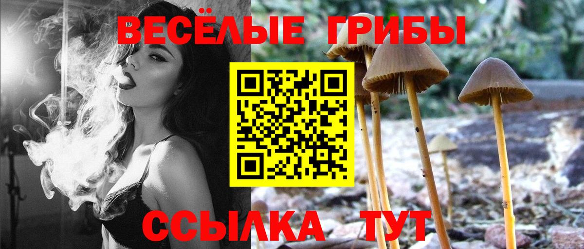Нальчик  Псилоцибиновые грибы Psilocybine cubensis  Вход с VPN 